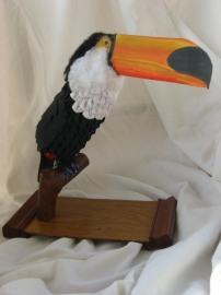 Toucan toco