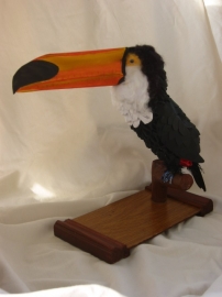 Toucan toco