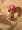 One Piece - Tony Tony Chopper (taille P.O.P) (125806)