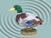 Canard colvert